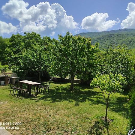 Villa Aleks Ohrid Exterior foto