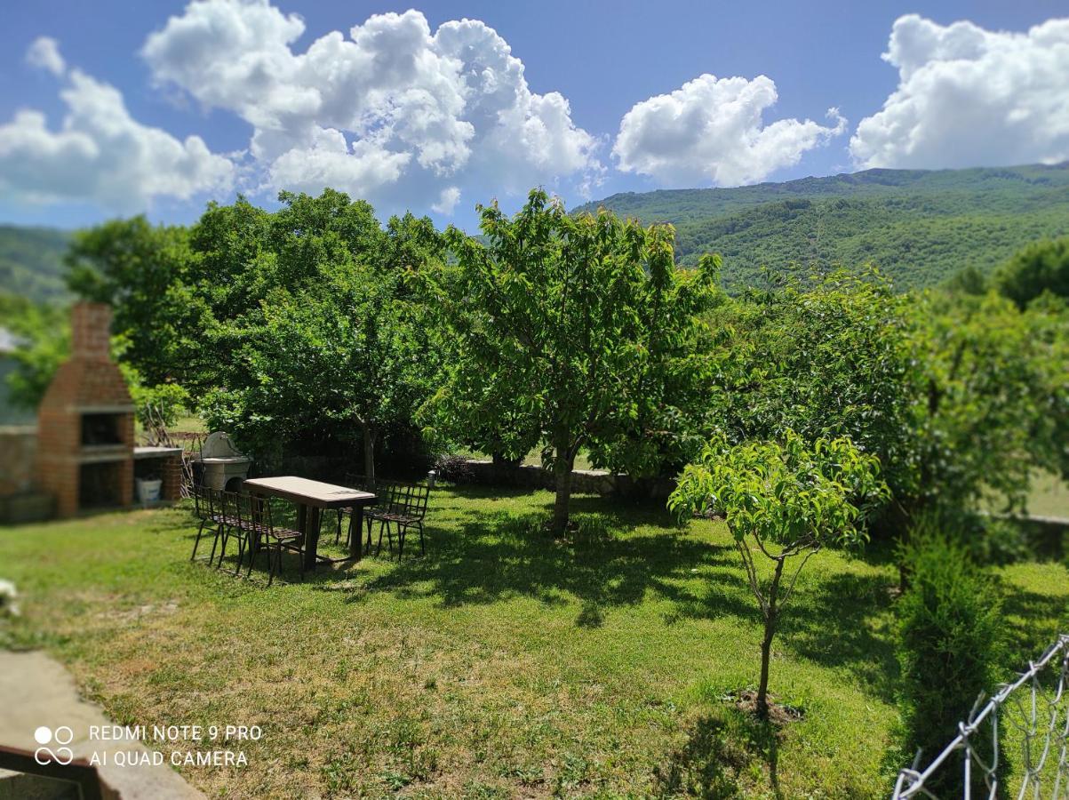 Villa Aleks Ohrid Exterior foto